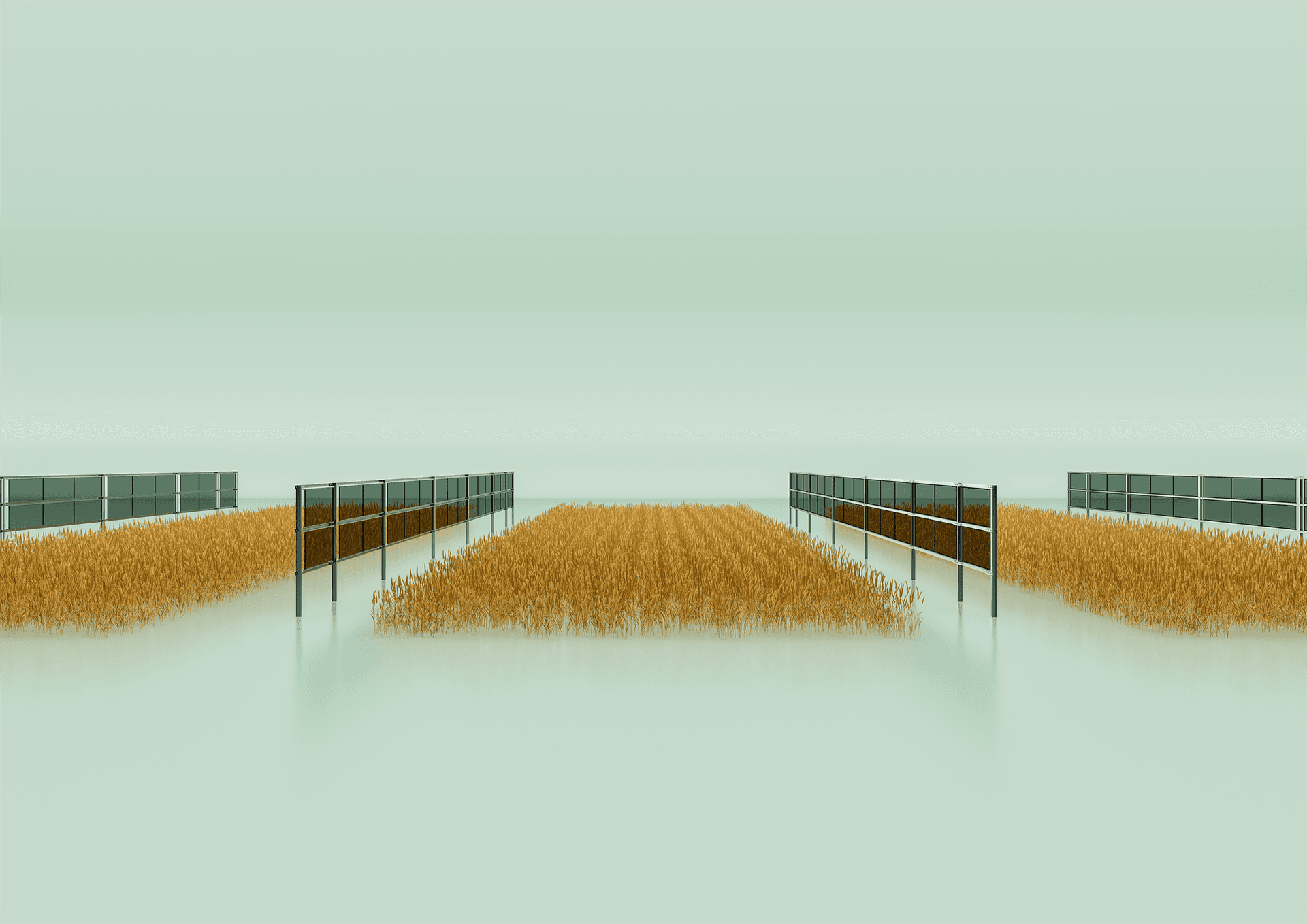 A field with three arrays of solar panels mounted on stilts above tall, dry grass, set against a hazy, pale green sky.