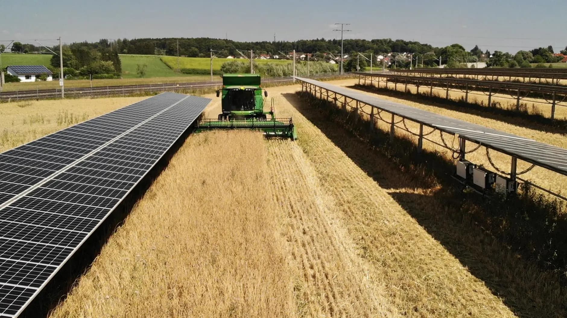 A green combine harvester operates in a wheat field adjacent to rows of solar panels under a clear sky.