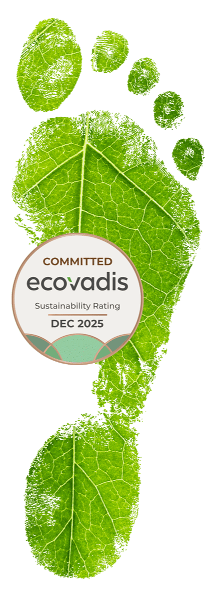 An image of a green leaf shaped like a footprint with an EcoVadis sustainability rating badge indicating a Bronze medal in the top 35% for June 2024.
