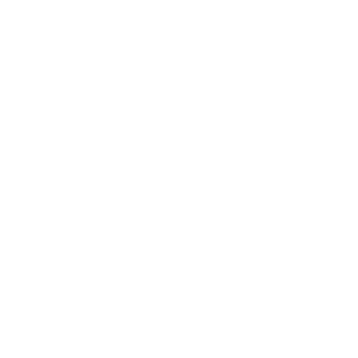A white globe icon with horizontal and vertical lines, symbolizing worldwide connectivity or internet.