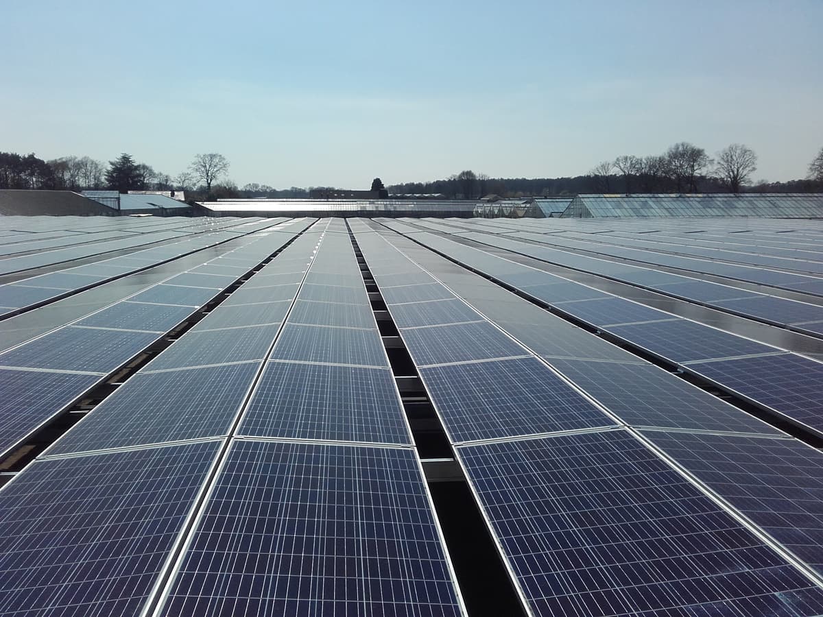 A large field of solar panels under a clear sky, generating renewable energy.