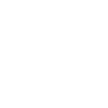 SDG_icon_13.png