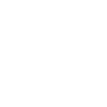 SDG_icon_17.png