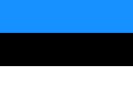 Flag featuring three horizontal stripes: blue on top, black in the middle, and white at the bottom.